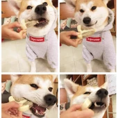 Büyük Boy Tavuk Butu Köpek Diş Kaşıma Oyuncağı - 5