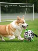 Köpek Oyuncak Topu - Tur Futbolu S +5 TL Düğümlü Terlik - 9