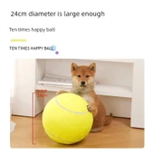 24cm Süper Boy Köpek Tenis Topu - Pompa ve İğne Dahil - 3
