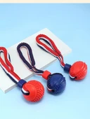 Köpek Eğitim Isırma Molar Top Oyuncak - Rugby (Renk Rastgele) thumbnail 7