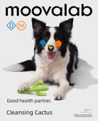 Köpek Diş Temizleme Oyuncağı - Kaktüs Şekilli thumbnail 7