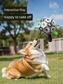 Köpek Oyuncak Topu - Tur Futbolu S +3 TL Düğümlü Havuç - 10