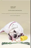 Köpek Mısır Diş Kaşıma Oyuncağı - Isırmaya Dayanıklı - Sesli - 10