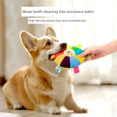 Sesli Köpek Frizbi Oyuncak - Yavru Köpek 2 - 8