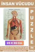 Eğitici Eğlenceli El-Göz Koordinasyonu Motor Becerisi Geliştiren 36 Parça Puzzle İNSAN VÜCUDU - 1