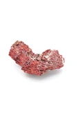 Hakiki Doğal Kırmızı Mercan Kaya Parçası 114 Gram - 4