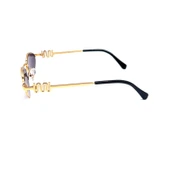 RACHEL PARİS RP8642 C1 Kadın Güneş Gözlüğü thumbnail 3