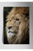 Metal Baskı Parlak Aslan Duvar Tablosu thumbnail 1