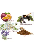 Lexton Propolis Harnup Özü 640 gr Pasiflora - 2