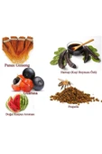 Lexton Propolis Harnup Özü 640 gr Panax Ginseng - 2