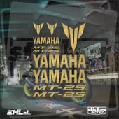 Yamaha MT 25 Sticker Seti - 1