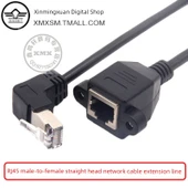 Cat5e RJ45 Ağ Uzatma Kablosu - 0.3m RJ45 Erkek Bükümlü Başlık - 10