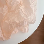 Morandi Renkli Pasta Ambalaj Kağıdı - Şampanya Rengi 10 Adet - 1
