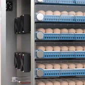 Endüstriyel 256 Yumurtalık Otomatik Kuluçka Makinesi Dijital Panel Isı Nem Ayarlı – Tavuk Ördek Civciv Hindi Yumurta - 3