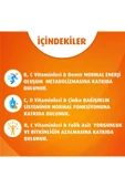 PHARMATON Vitality 30 Tablet - Ginseng G115, Multivitamin Ve Mineraller 8683060010220 - 4