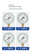 Y100 Hidrolik Yağ Basınç Ölçer - Y100 [0-1.0mpa] 10kg - 10
