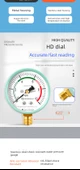 Su Basınç Ölçer 0-16kg 4 Min İç Dişli Direkt Tip - 10