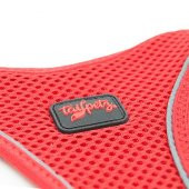 Tailpetz Air Mesh Harness Göğüs Tasması Neon Kırmızı 2XSmall - 5