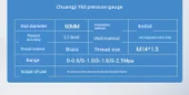 Y60 Radyal Galvanizli Manometre 0-2.5mpa /6 Dakika - 11