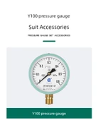Y100 Basınç Ölçer - [0-1.6mpa] 16kg thumbnail 11