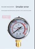 Basınç Ölçer 0-1.0MPA Standart 1/2 inç Diş thumbnail 11