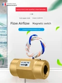 DN15 DN20 Bakır Manyetik Su Akış Anahtarı - 4.2 Metre AC110V + Oturaklı - 9