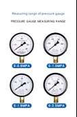 Radyal Basınç Ölçer 0-2.5mpa - Paslanmaz Çelik Tüplü - 8