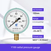 Y100 Basınç Ölçer - Y-100 [0-0.6mpa] 6kg - 1