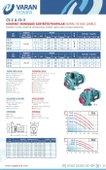 Varan CS 33 Tek Kademe Monoblok Santrifüj Pompa 3 HP / 2.2 kW, Trifaze 380 V, 17 Mss, 60 m3/h - 3