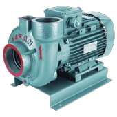 Varan VS 254 Monoblok Salyangoz Santrifüj Pompa 4 HP / 3 kW, Trifaze 380 V, 31 Mss, 45 m3/h - 1