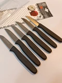 Sürbisa Meyve Takımı (6'lı) 61007 7.0 cm thumbnail 1