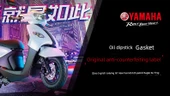 Yamaha AS125 Patrol Eagle Yağ Çubuğu - Conta - 6