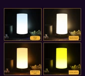 Şarjlı Bar Tipi LED Masa Lambası - Kademeli Anahtar, Buz Mavi Işık, Type-C Hızlı Şarj - 11