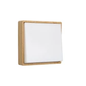 Minimalist LED Gece Lambası - Kayın Ağacı Desenli - 1