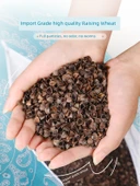 Yazlık Greçka Yastığı - Yetişkin - Manyetik Terapili Greçka Yastık - Antibakteriyel İç Dolgu - 6-8cm - 3