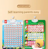 Pinyin Alfabe Tablosu - Pinyin Sayılar (2 Set) - 10