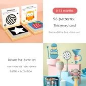 Bebek Görsel Uyarıcı Flash Kartları - 2 Kutu Büyük Kart + Deluxe Orff Çıngırak Seti - 1