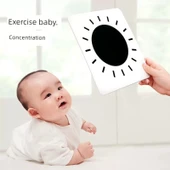 Bebek Görsel Uyarıcı Flash Kartları - 2 Kutu Büyük Kart + Deluxe Orff Çıngırak Seti - 4
