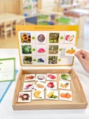 Bitki Bilgisi Eğitim Kartları - Anaokulu Oyuncak Puzzle - Lezzetli Bitkiler - 4