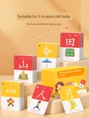 Çocuklar İçin Çince Karakter Öğrenme Kartları - [Temel] 1-400 Piktografik Karakter - 3