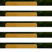 Saf Salep 20g thumbnail 3