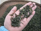 Uyku Yastığı - Alp Yeşil Çay Sapı Dolgulu - 500g - 7