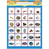 Araba Logosu Tanıma Duvar Tablosu - İmparator Moru - 3