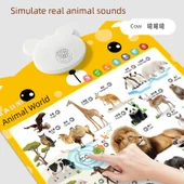 Çocuklar için Çince Pinyin Duvar Tablosu - Pinyin +1-100 + Okuma 1 + Kelime 1 + Kelime 2 - 4