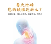 Boyun Destekli Yuvarlak Yastık - Corolla - Xiaomi Kabuğu Dolgulu (Yumuşak) 6-10cm thumbnail 10