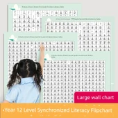 İlkokul Çocukları Çince Okuma Yazma Pinyin Öğrenme Duvar Tablosu - 2. Sınıf Okuma Yazma Tablosu İlk Cilt [473 Kelime] - 8