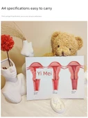 Jinekolojik Anatomi Atlası Poster - Vulva Estetiği Karşılaştırması - A4 - 5