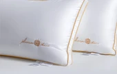 Altın Nakışlı Otel Yastığı (Çift + Yastık Kılıfı Çifti) - 20-23cm - 9