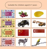 Bebek Erken Eğitim Kartları - Hayvanlar Alemi (Tek Kutu) - 10