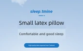 Portatif Lateks Mini Yastık - Standart Açık Gri - 8